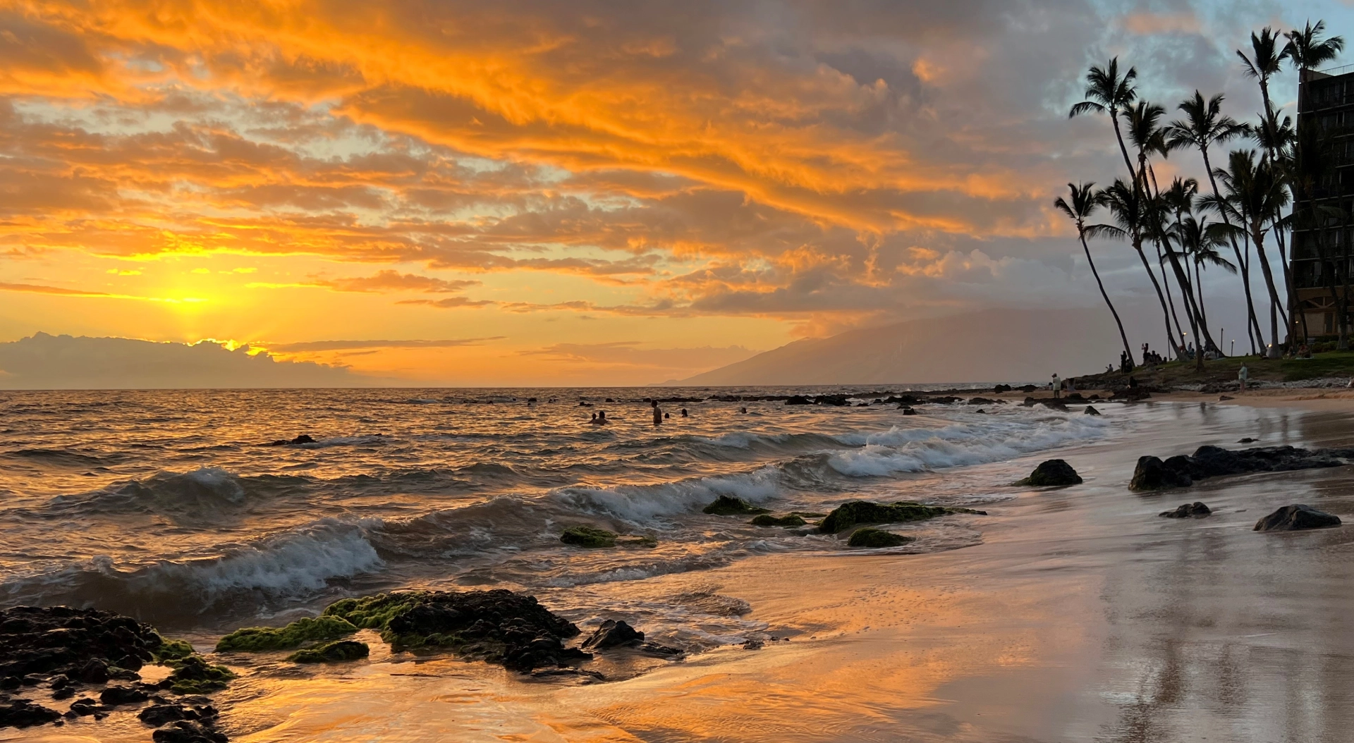 6967f2e867230_Image20260114124715